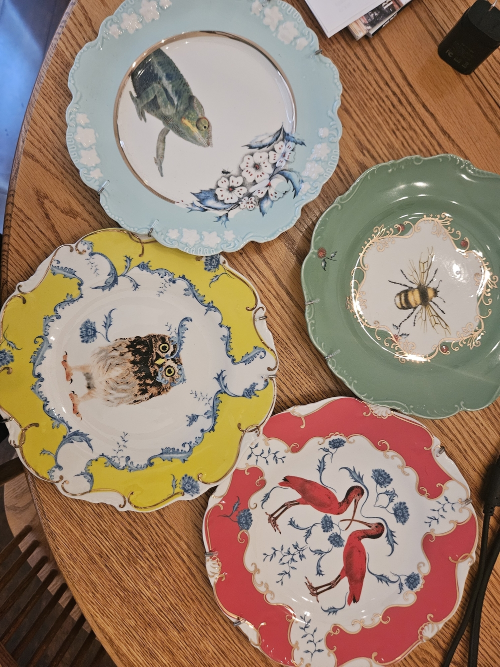 Decorative Scalloped Ceramic Dinner Plate Anthropologie LOU ROTA NATURE scenes